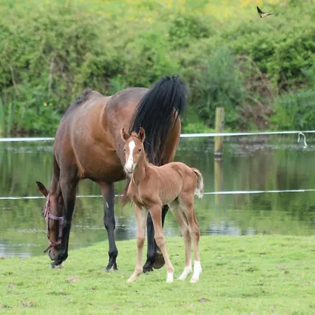 La Petite Berais Missillac