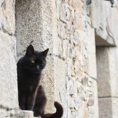 فندق مبيت وإفطار La Petite Berais 3*