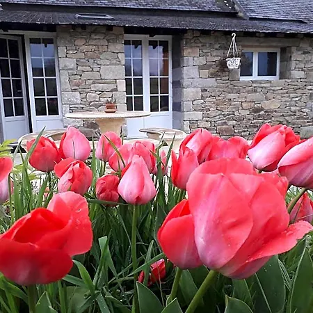 La Petite Berais 3*