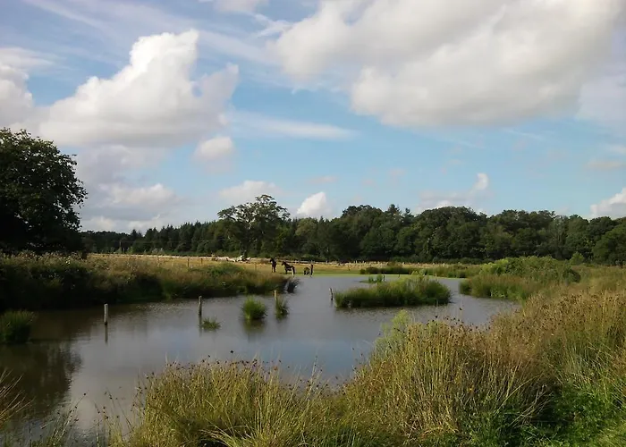 住宿加早餐酒店 La Petite Berais 米西亚克