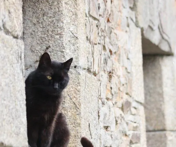 Bed & Breakfast La Petite Berais 3*